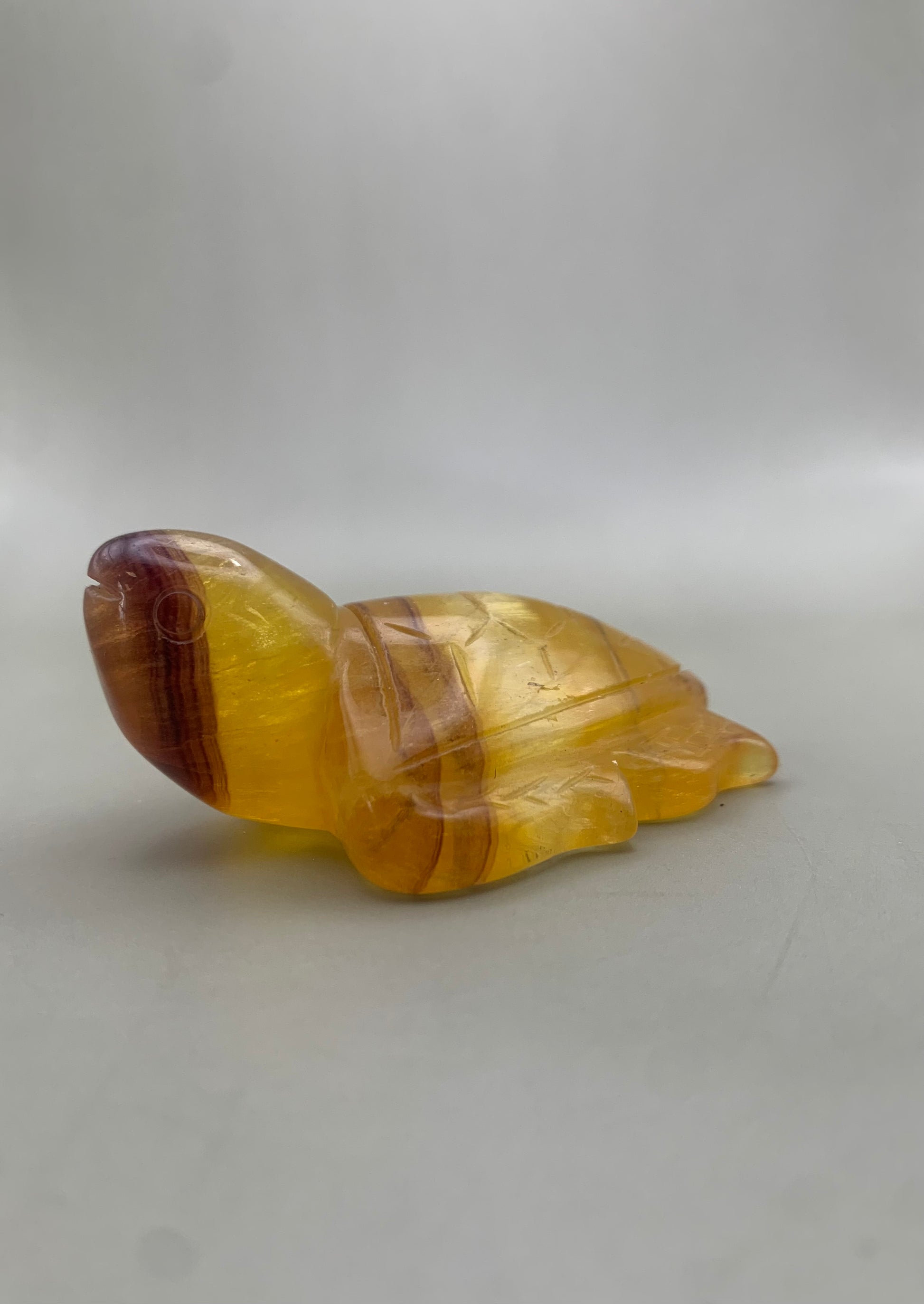 Tortuga de fluorita amarilla