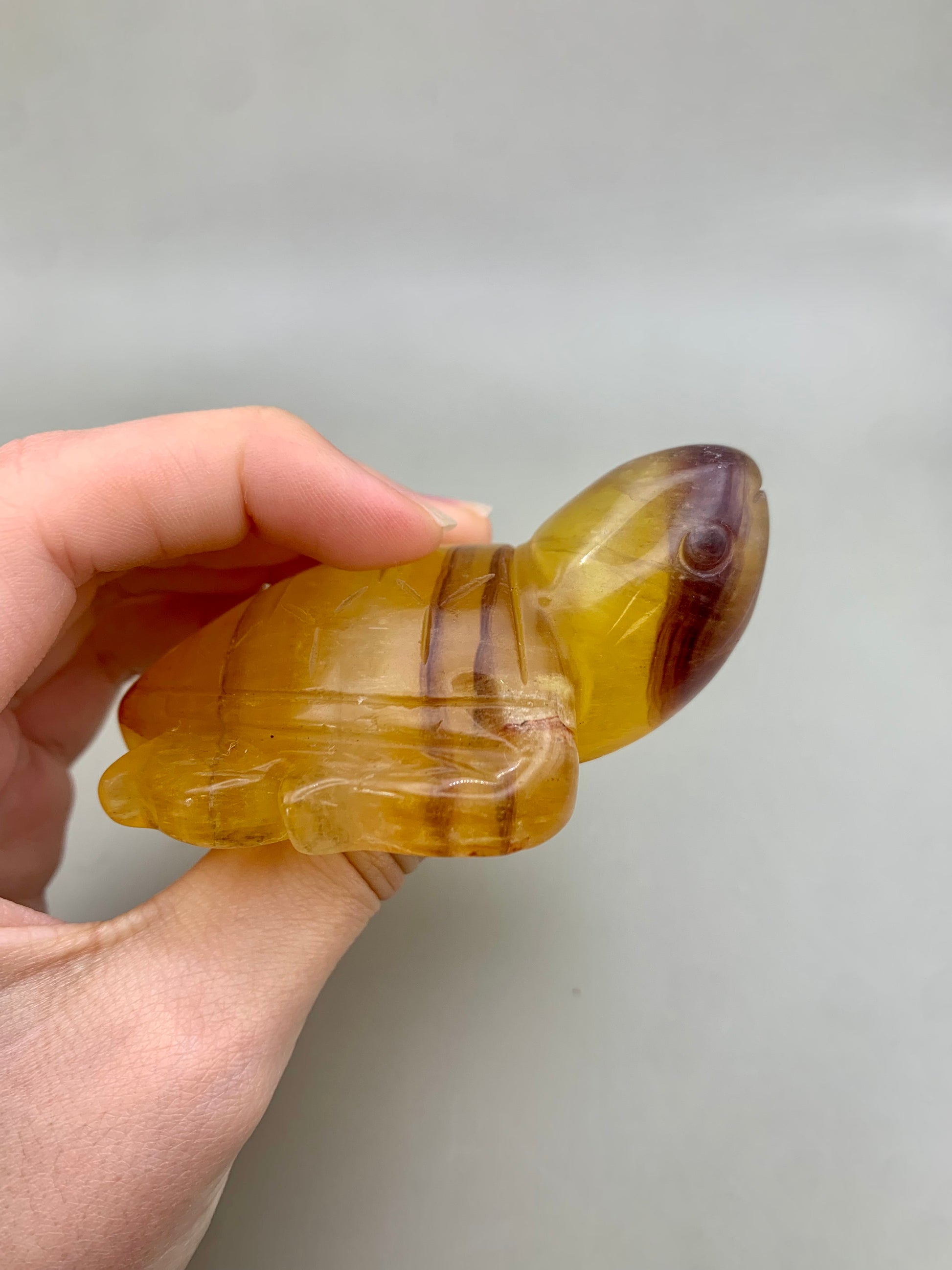 Tortuga de fluorita amarilla