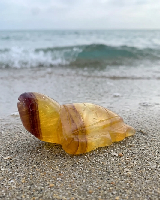 Tortuga de fluorita amarilla 